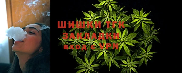 МДПВ Медногорск