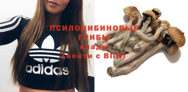 ГАЛЛЮЦИНОГЕННЫЕ ГРИБЫ Бронницы