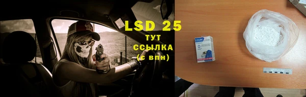 ГАЛЛЮЦИНОГЕННЫЕ ГРИБЫ Бронницы