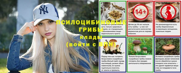 ALPHA PVP Магадан