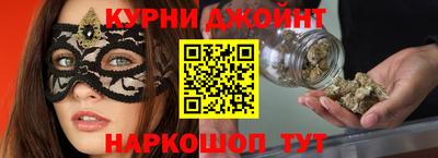 кокс Гатчина