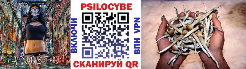 Галлюциногенные грибы Magic Shrooms  МЕГА маркетплейс  Воткинск 