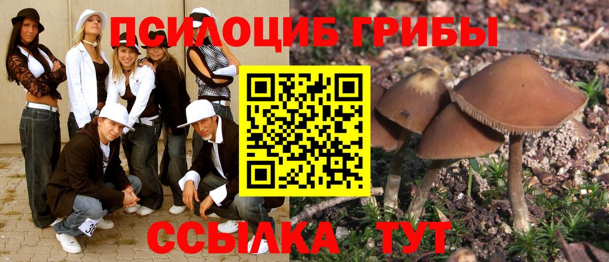Псилоцибиновые грибы Magic Shrooms Воткинск