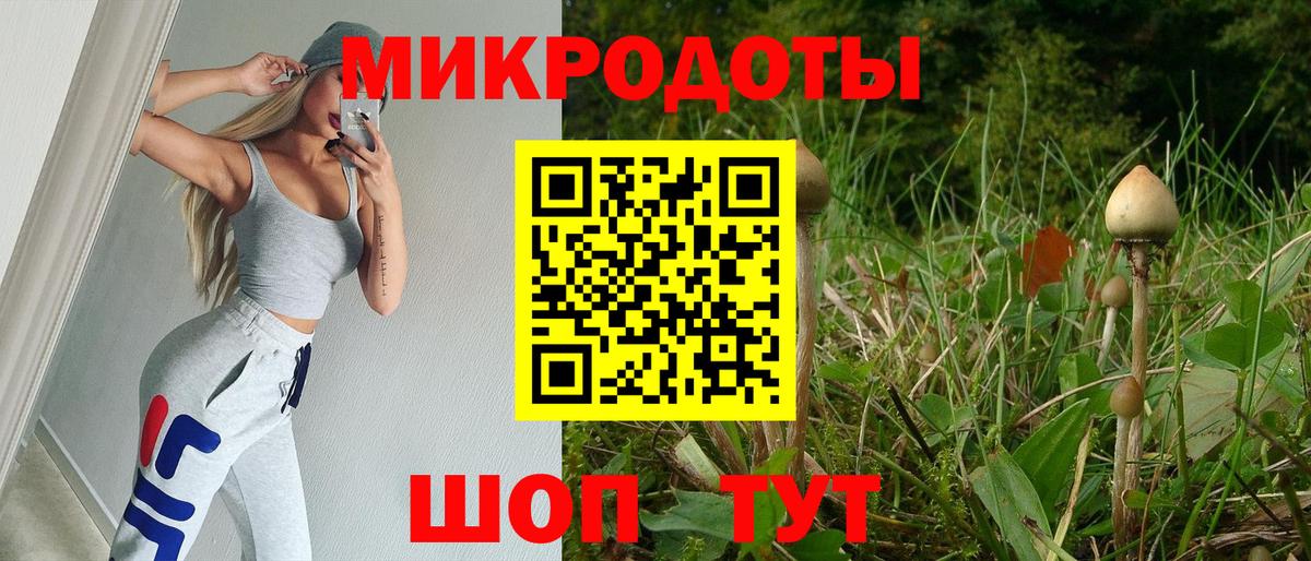 Псилоцибиновые грибы Psilocybe  дарнет шоп  Воткинск 