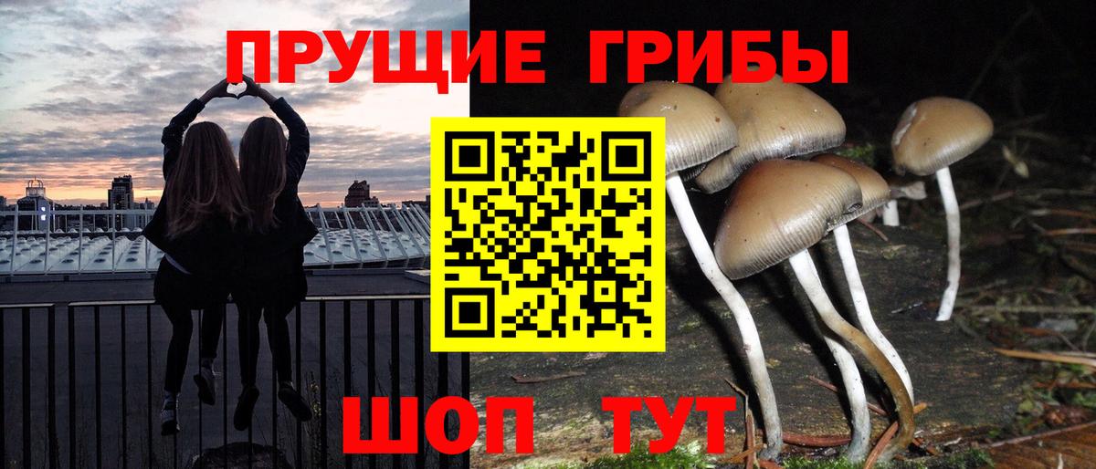 Псилоцибиновые грибы мухоморы  Вход с VPN  Воткинск 